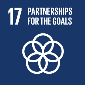 SDG 17 — Partnerships for the Goals